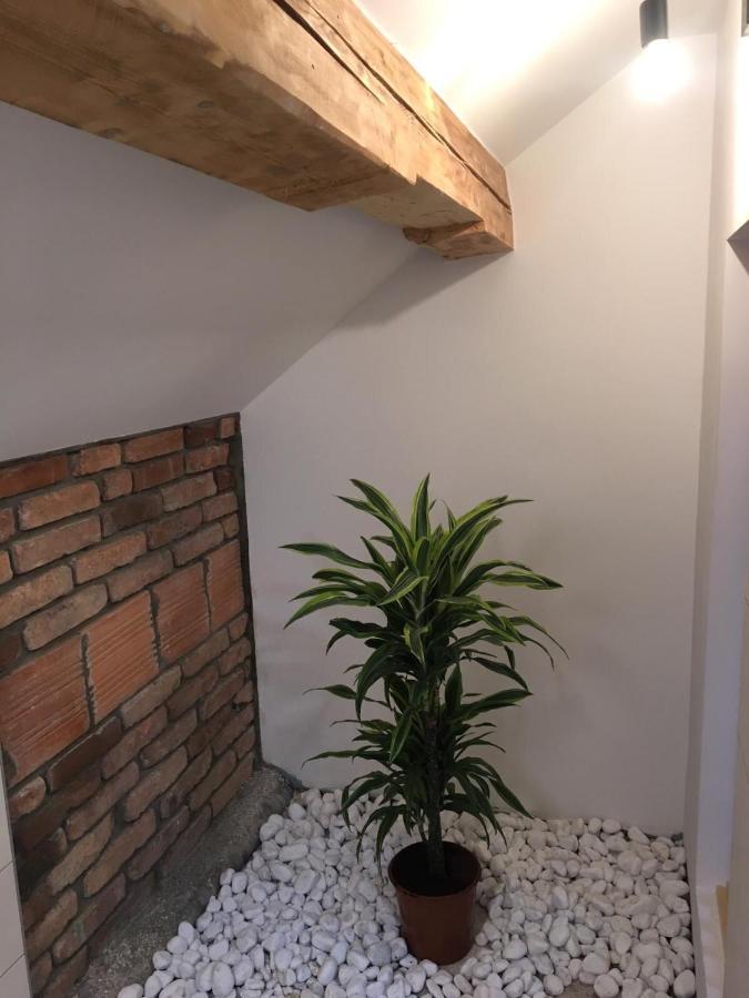 Kasita Bled Apartments 外观 照片